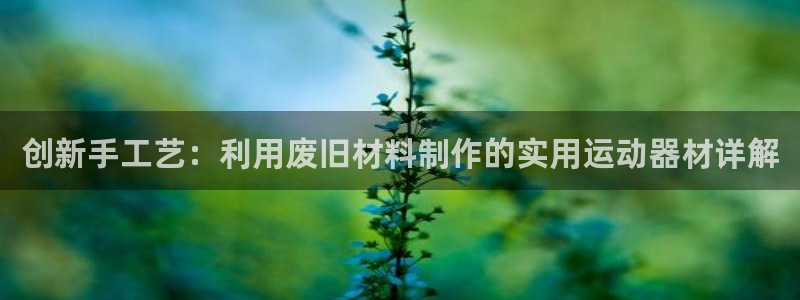 xk星空体育官网下载平台假的吗是真的吗：创新手工艺：