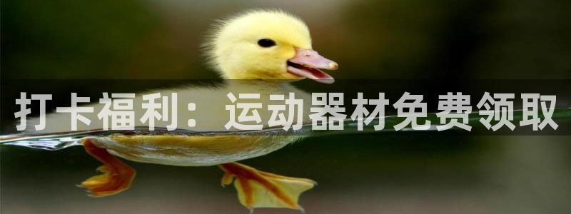 xk星空体育官网下载平台是正规平台吗：打卡福利：运动器材免费