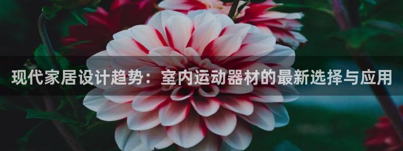 xk星空体育官网下载平台注册要钱吗安全吗：现代家居设