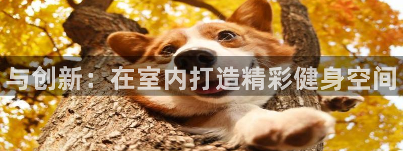 xk星空官方平台体育：与创新：在室内打造精彩健身空间