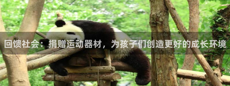 xk星空体育官方正版app开户：回馈社会：捐赠运动器材，为孩