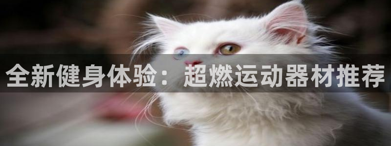 xk星空体育官网下载平台注册流程图：全新健身体验：超燃运动器