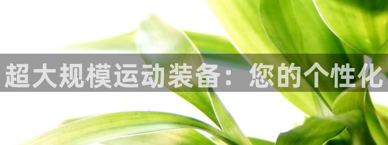 xk星空体育官网下载招商电话地址是多少：超大规模运动装备：您