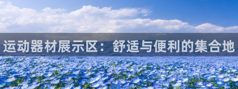 xk星空官方平台体育：运动器材展示区：舒适与便利的集合地