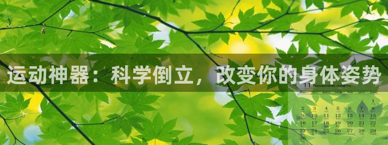 xk星空体育官网下载娱乐