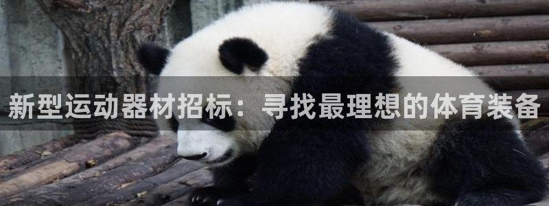 xk星空体育官方正版app娱乐40996：新型运动器材招标：