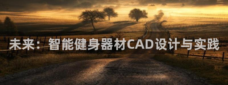 xk星空体育官方正版app新能源：未来：智能健身器材CAD设