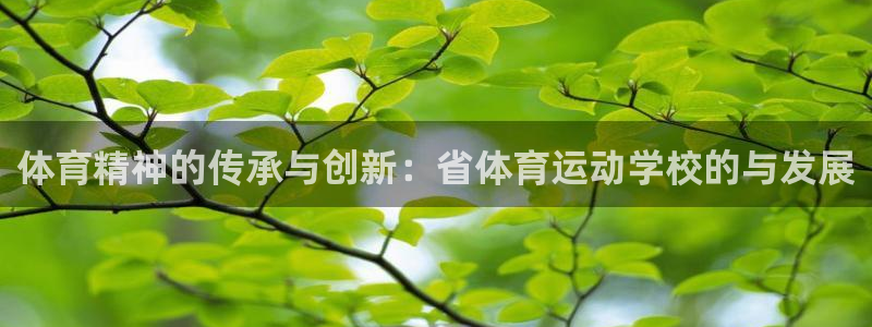 k1体育链接多少