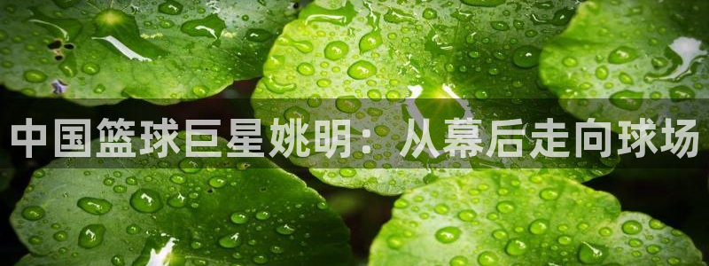 k1体育十年品牌值得信赖