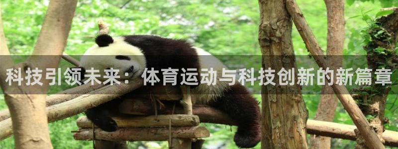 k1体育平台下载